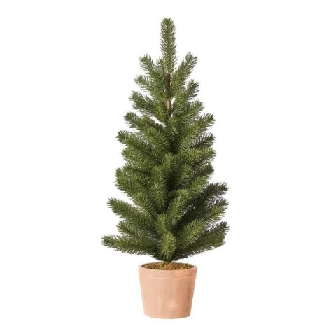 PINETTO VIRGINIA CON VASO CM.6